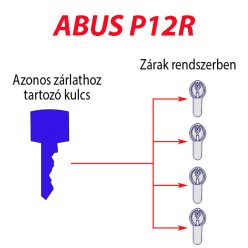   ABUS  P12R  egyforma zárlat szerelés (minden darabra  együtt rendelve) Egyedi szolgáltatás