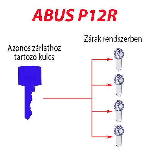 ABUS  P12R  egyforma zárlat szerelés (minden darabra  együtt rendelve) Egyedi szolgáltatás